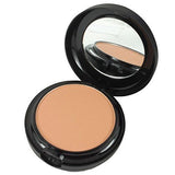 Technic Colour Fix 2 in 1 Pressed Powder & Cream Foundation